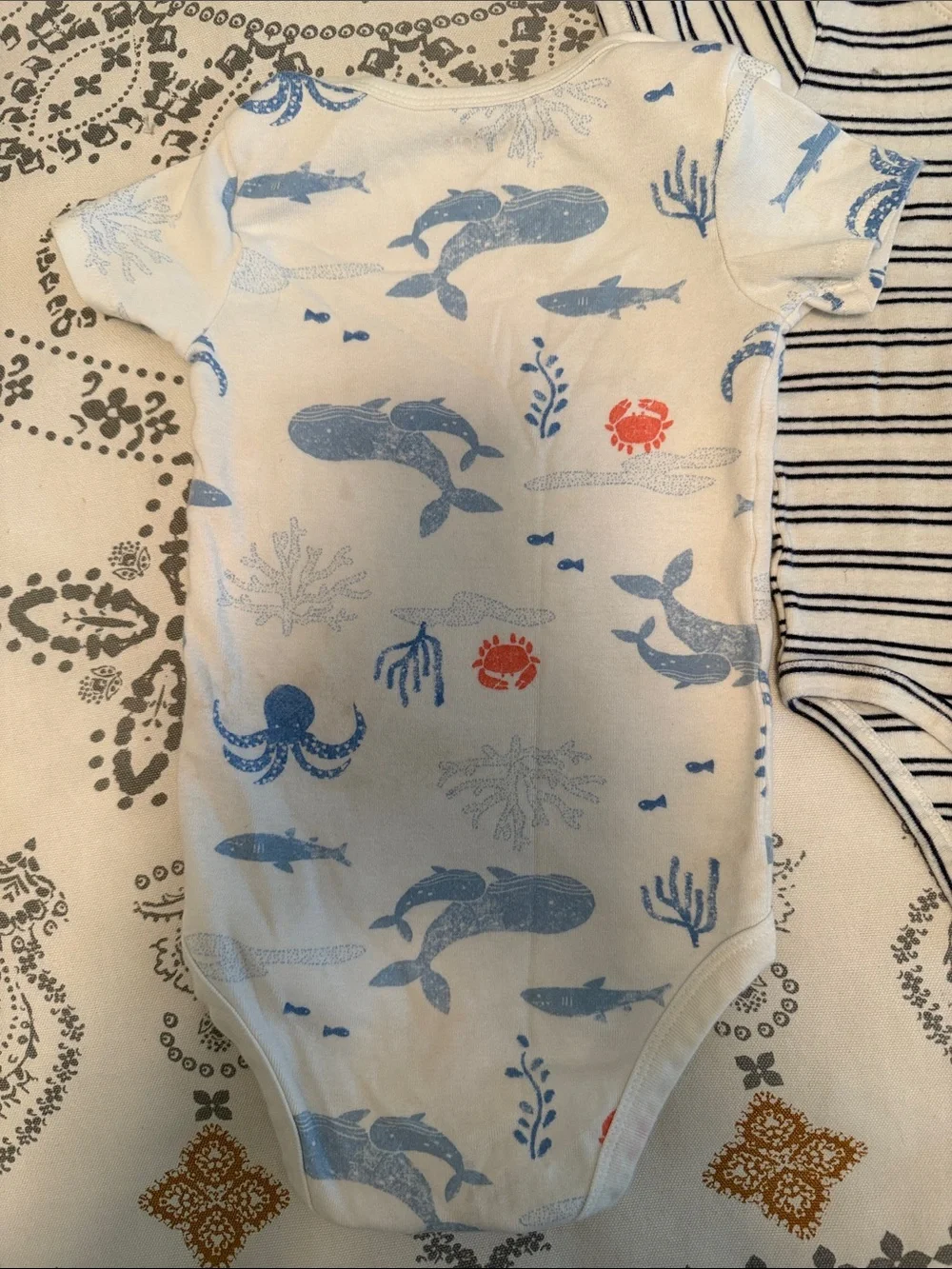 Short-Sleeve Baby Bodysuit Set of 4